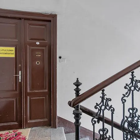 Little Flower 5 - Rent Daire Rijeka